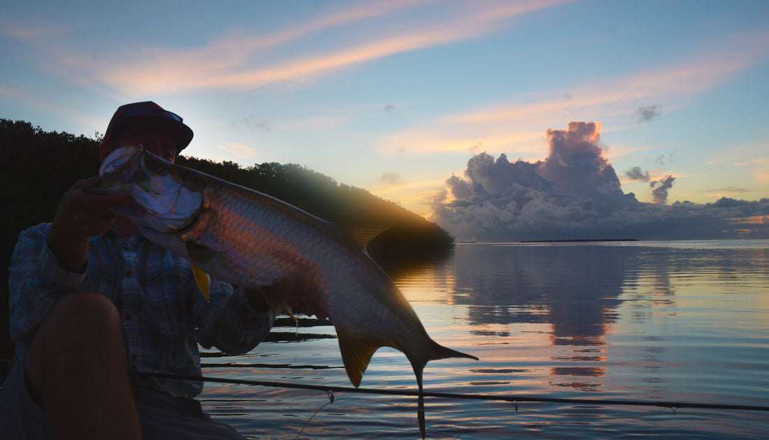 From the Field - First Light Islamorada