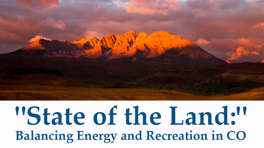 Cover image for State of the Land