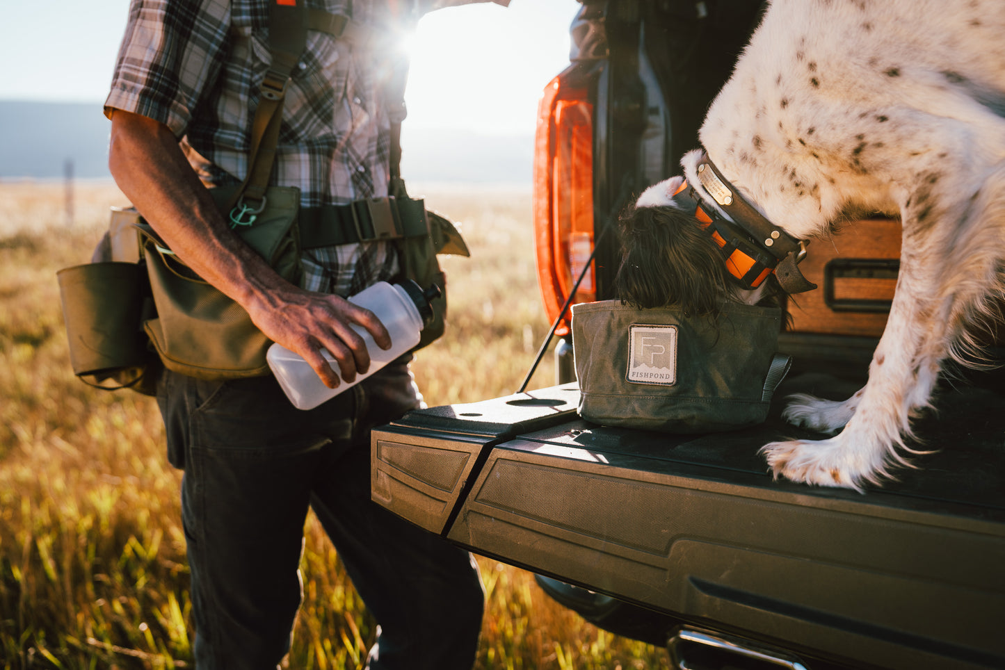 Person with a dog in a field, standing next to an open car trunk.