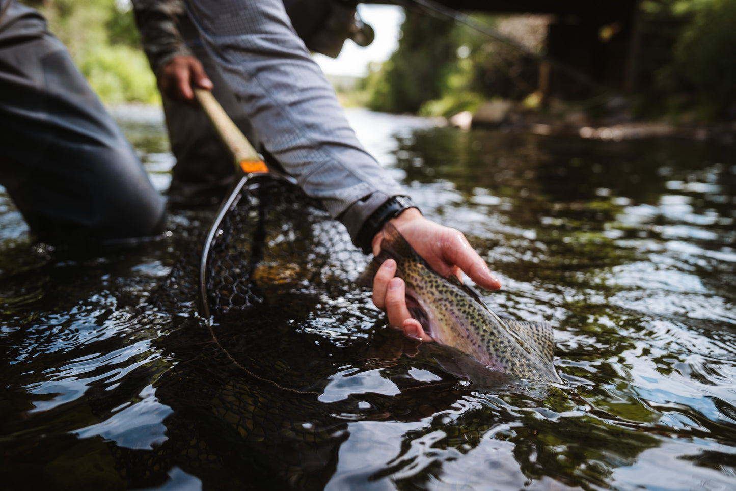 Nomad Replacement Coated Nylon Net