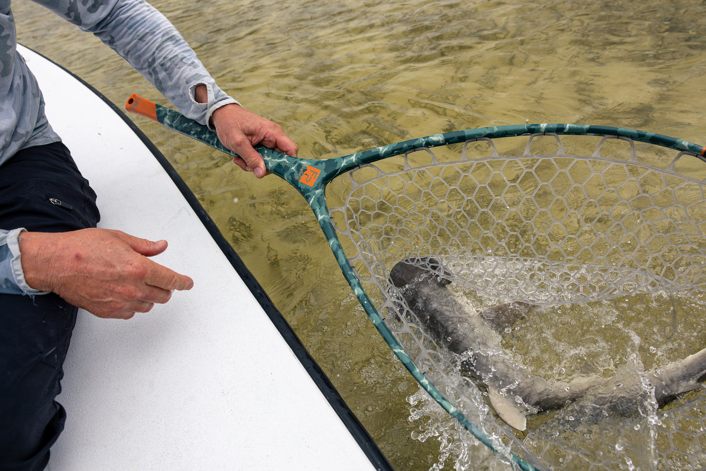 Salty Camo | Shark