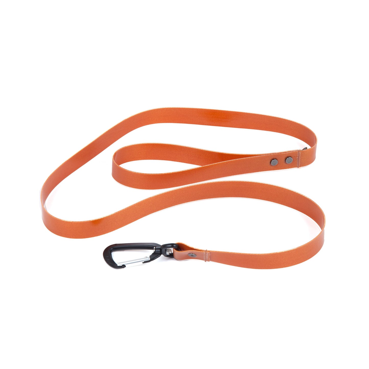 Salty Dog Leash | Dog Leash